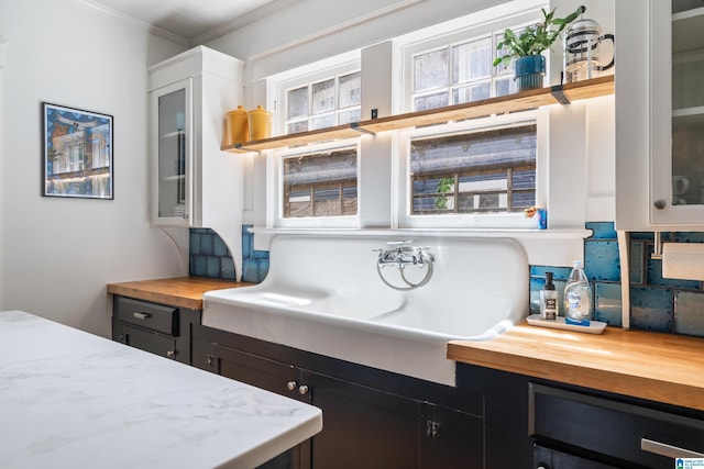 bathroom featuring crown molding and healthy amount of natural light