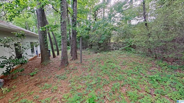 116 Pine Rock Ln, Hoover, AL 35226 - view of yard
