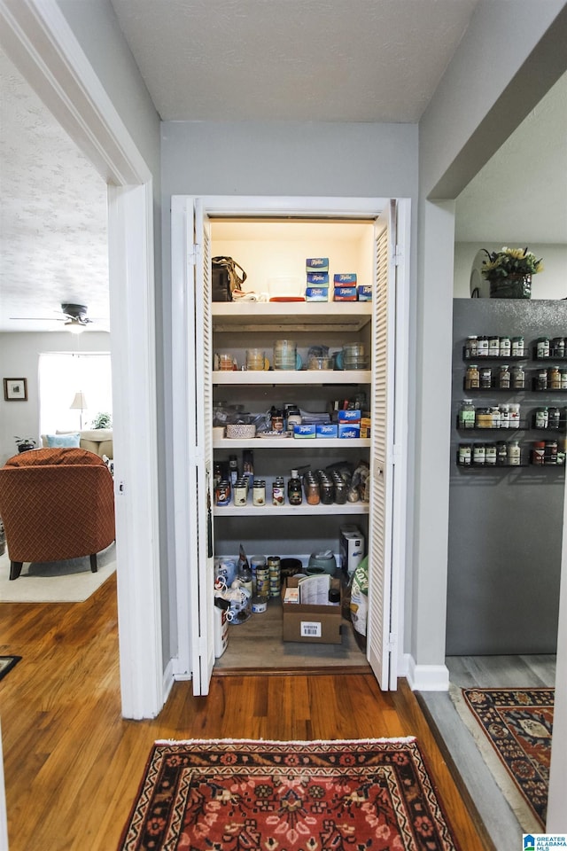 view of pantry