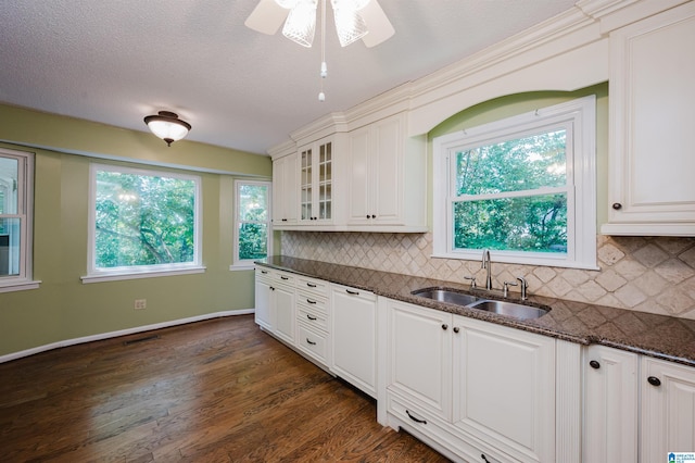 320 Cambo Ln, Hoover, AL 35244 - kitchen with a sink, backsplash, plenty of natural light, and a textured ceiling