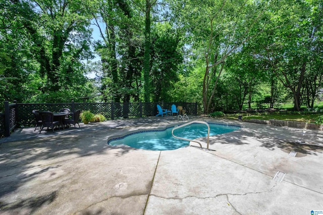 320 Cambo Ln, Hoover, AL 35244 - view of swimming pool featuring a patio and view of scattered trees