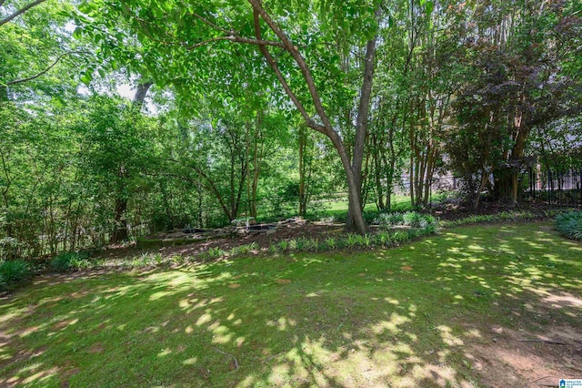 320 Cambo Ln, Hoover, AL 35244 - view of yard