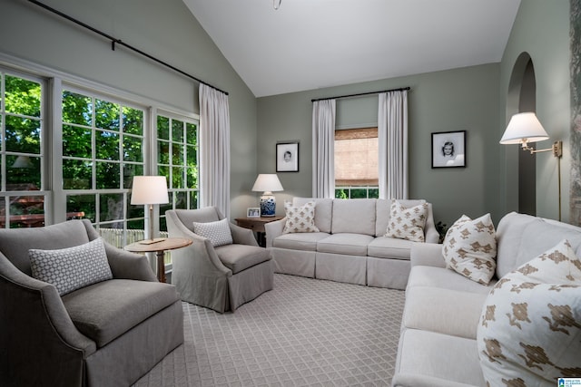 living room featuring vaulted ceiling