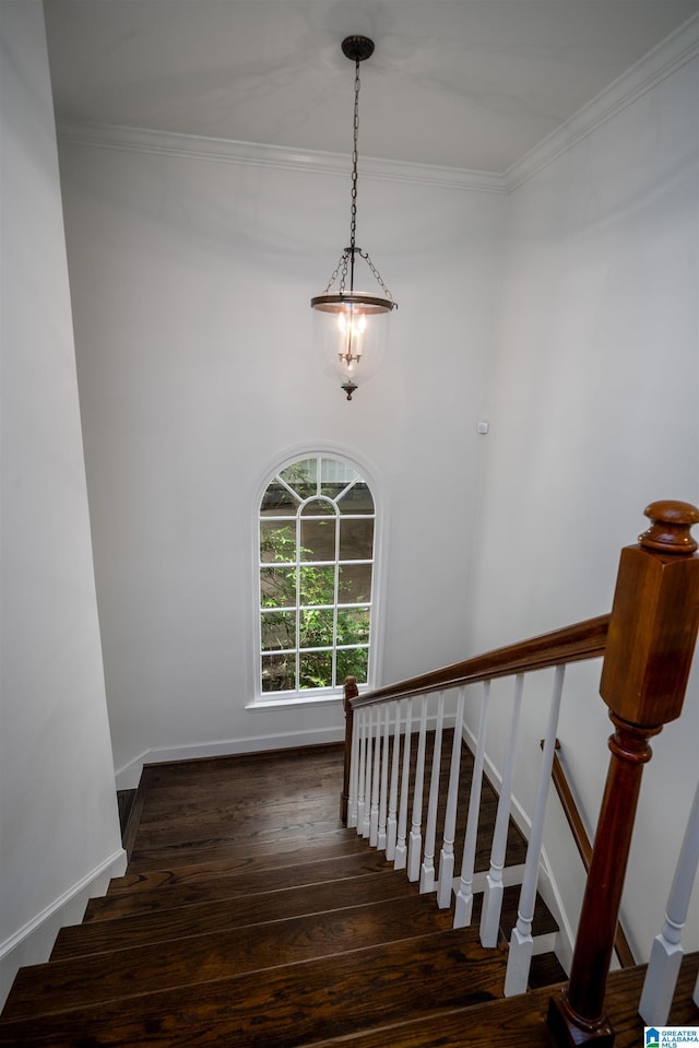 stairway featuring hardwood / wood-style flooring, ornamental molding, and baseboards