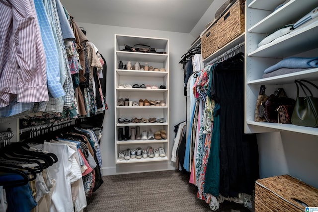 spacious closet featuring carpet floors