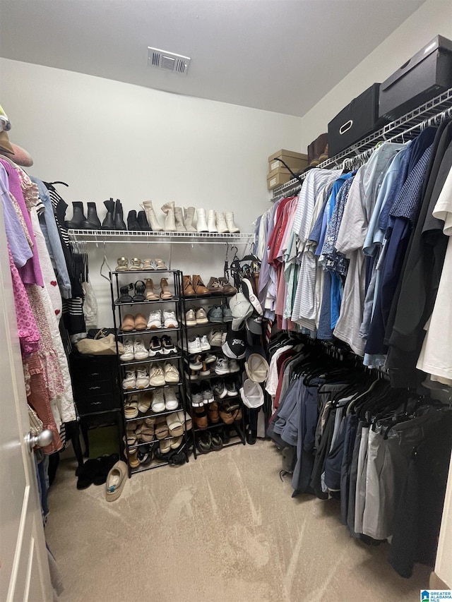 2232 Acton Park Cir, Birmingham, AL 35243 - spacious closet featuring carpet floors