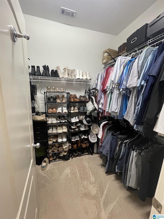 2232 Acton Park Cir, Birmingham, AL 35243 - spacious closet with carpet flooring