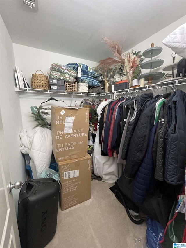 2232 Acton Park Cir, Birmingham, AL 35243 - walk in closet featuring carpet flooring