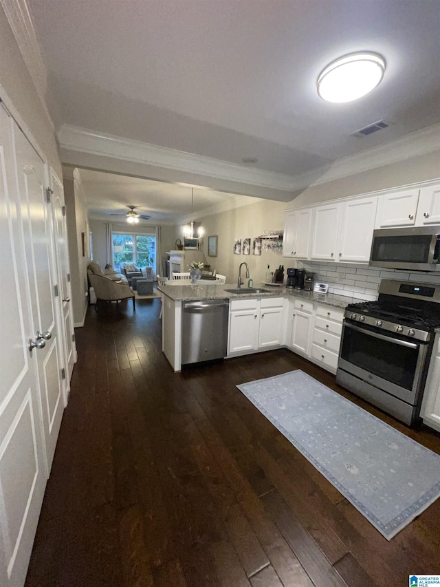 2232 Acton Park Cir, Birmingham, AL 35243 - kitchen with appliances with stainless steel finishes, open floor plan, ornamental molding, dark wood-type flooring, and a peninsula