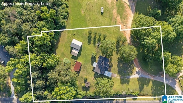 5241 County Road 48, Jemison, AL 35085 - aerial overview of property's location featuring property boundaries highlighted