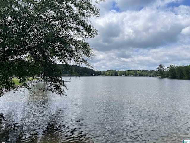 12789 County Road 31 Unit 1, Centre, AL 35960