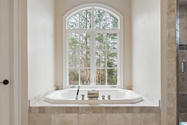 4035 Saint Charles Dr, Hoover, AL 35242 - full bathroom with healthy amount of natural light, a garden tub, and tiled shower