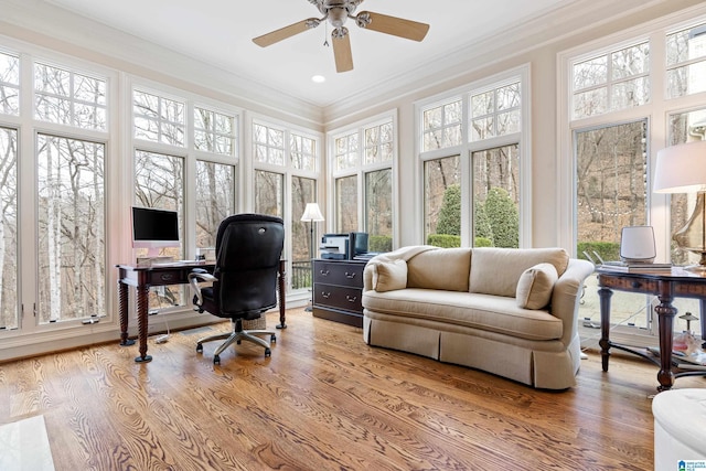 4035 Saint Charles Dr, Hoover, AL 35242 - office space featuring plenty of natural light, ornamental molding, a ceiling fan, and wood finished floors