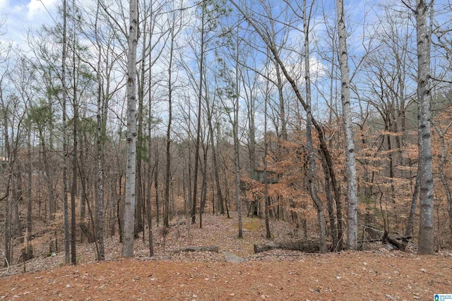 4035 Saint Charles Dr, Hoover, AL 35242 - view of wooded area