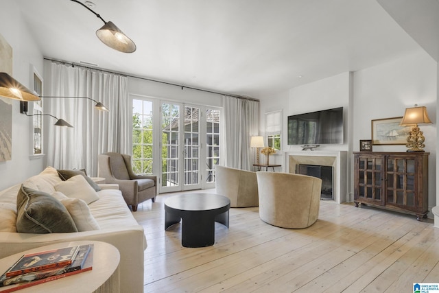 living room featuring hardwood / wood-style floors and a fireplace
