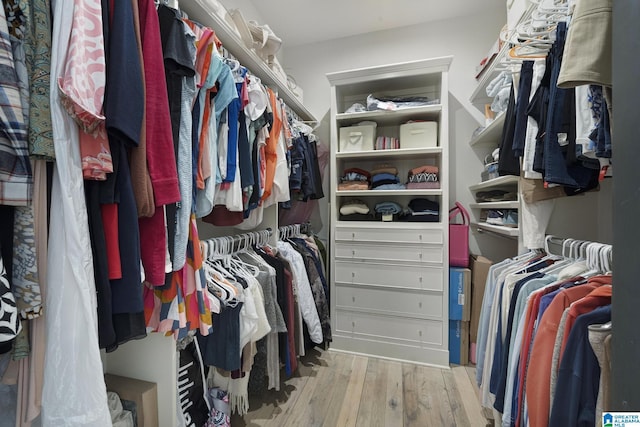 walk in closet with hardwood / wood-style flooring