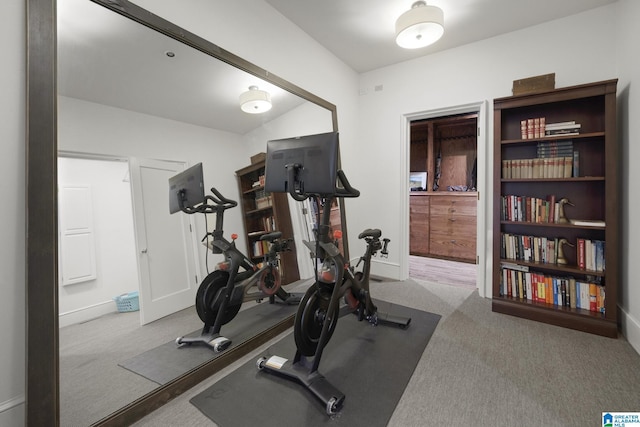 workout area featuring carpet floors