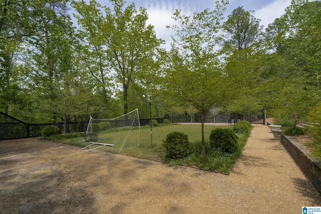 view of yard featuring an area for sports