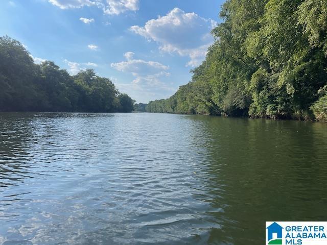County Road 140 Unit 44.22 Ac, Wadley, AL 36276