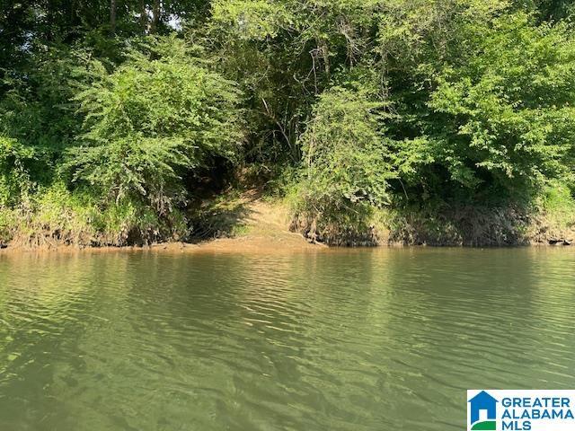 County Road 140 Unit 44.22 Ac, Wadley, AL 36276
