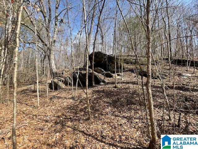 County Road 140 Unit 44.22 Ac, Wadley, AL 36276