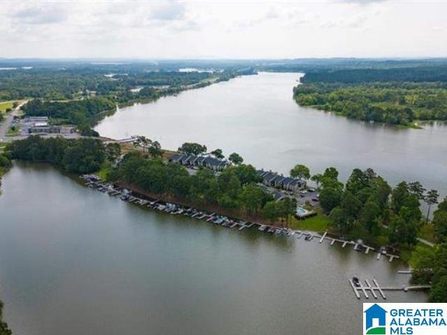 aerial view of a nearby body of water and a forest