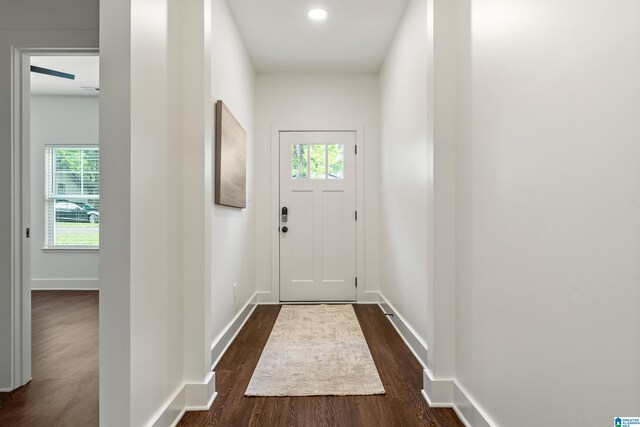 2213 3rd Ave S, Irondale, AL 35210 - doorway featuring dark wood-type flooring, plenty of natural light, and baseboards