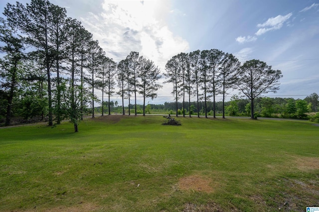 1492 Paul Allman Rd, Adger, AL 35006 - view of property's community featuring a yard