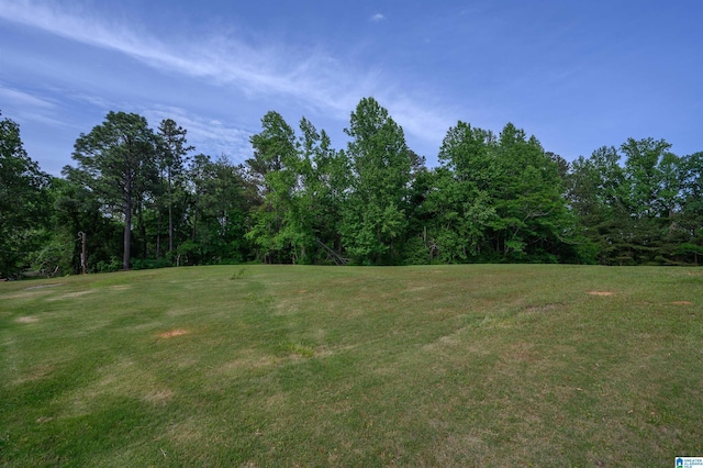 1492 Paul Allman Rd, Adger, AL 35006 - view of green lawn