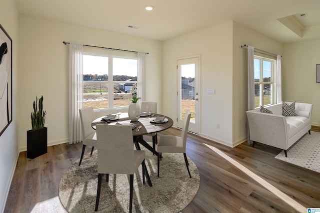 561 Boxwood Bnd, Calera, AL 35040 - dining room with wood finished floors, baseboards, and recessed lighting