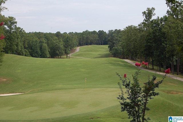 561 Boxwood Bnd, Calera, AL 35040 - view of community featuring golf course view