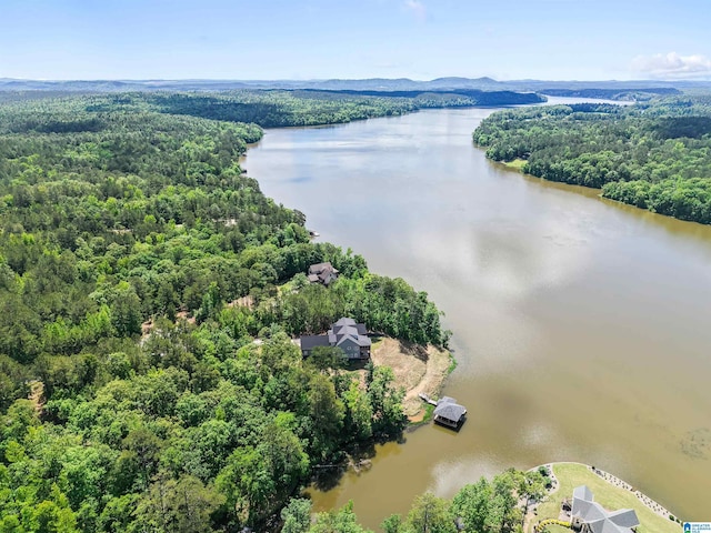 7 Stillwaters Trl, Sylacauga, AL 35151 - aerial view of a large body of water and a heavily wooded area