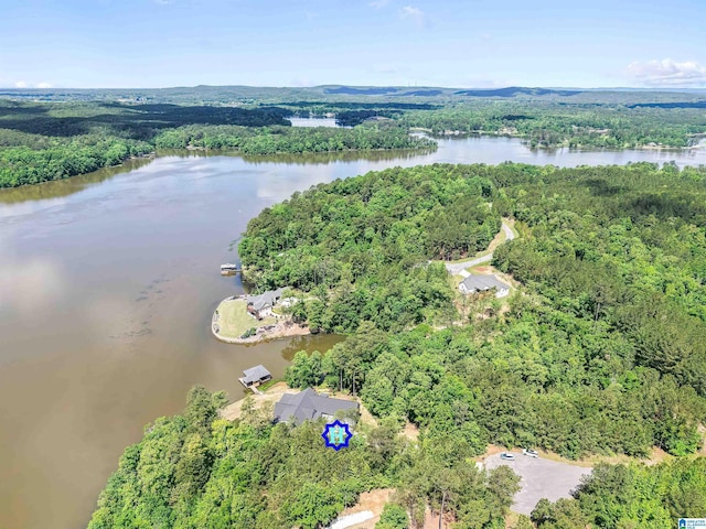 7 Stillwaters Trl, Sylacauga, AL 35151 - aerial view of property and surrounding area with a forest and a large body of water