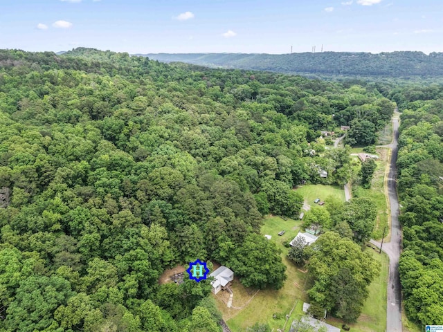 110 Cleburne St, Attalla, AL 35954 - aerial view of a heavily wooded area