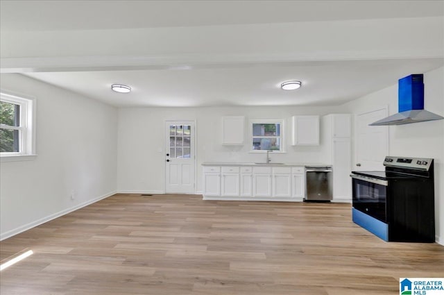 kitchen featuring stainless steel appliances, wall chimney exhaust hood, a sink, and plenty of natural light