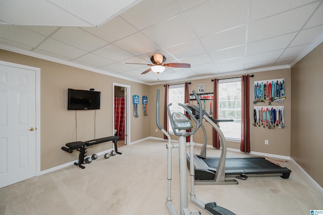 254 Macdonald Lake Rd, Springville, AL 35146 - workout room featuring carpet floors, baseboards, crown molding, ceiling fan, and a drop ceiling
