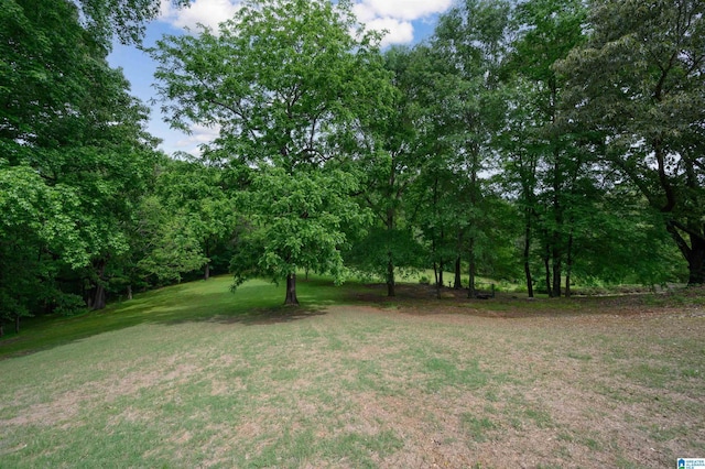 254 Macdonald Lake Rd, Springville, AL 35146 - view of green lawn