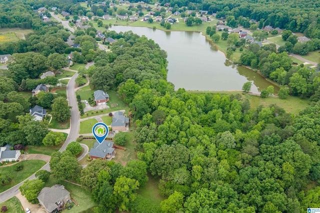 254 Macdonald Lake Rd, Springville, AL 35146 - aerial view of a nearby body of water