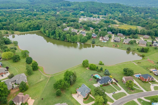 254 Macdonald Lake Rd, Springville, AL 35146 - aerial view of residential area featuring a large body of water