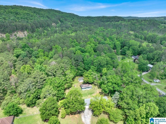 aerial view of property's location with a heavily wooded area