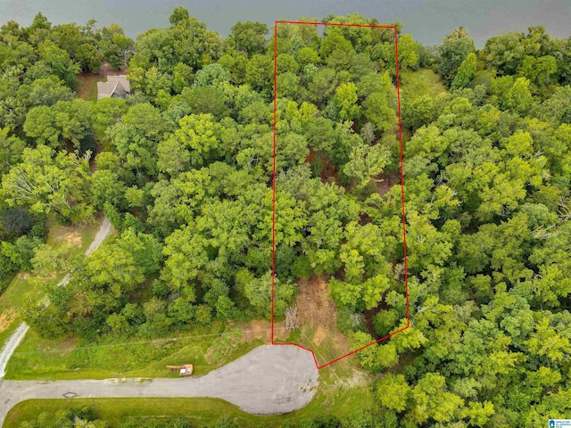 Lake Front Trl Unit 2, Clanton, AL 35046
