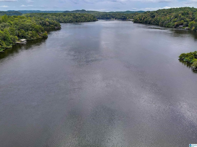 Lake Front Trl Unit 2, Clanton, AL 35046