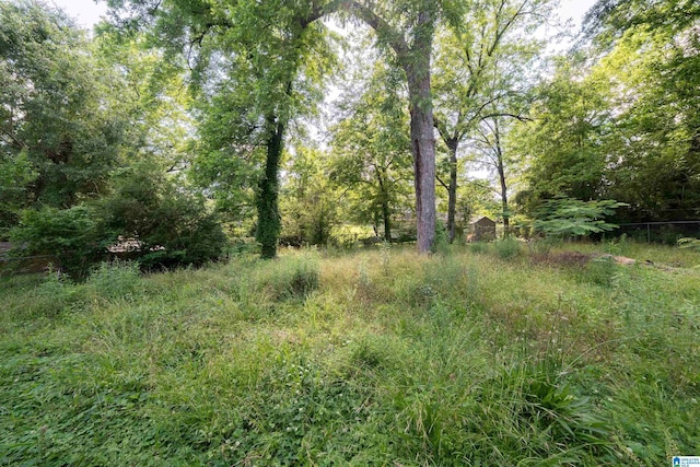415 Thomas St, Warrior, AL 35180 - view of local wilderness