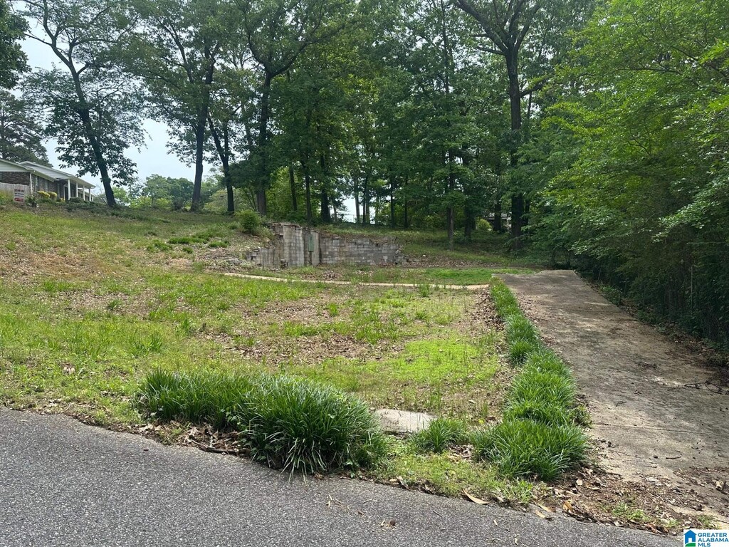 541 Maple St Unit 11-A, Birmingham, AL 35206