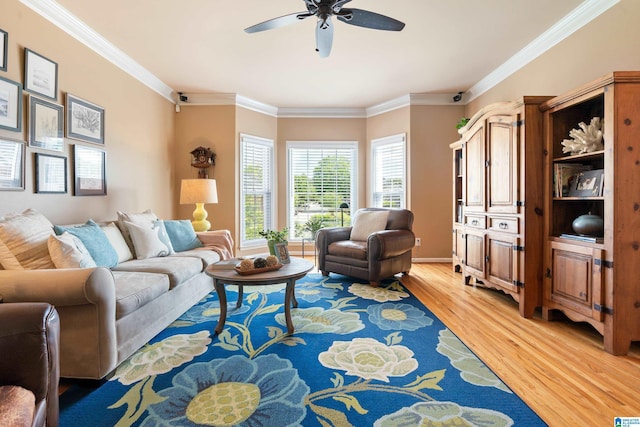 living area featuring ceiling fan, light wood-style floors, and ornamental molding