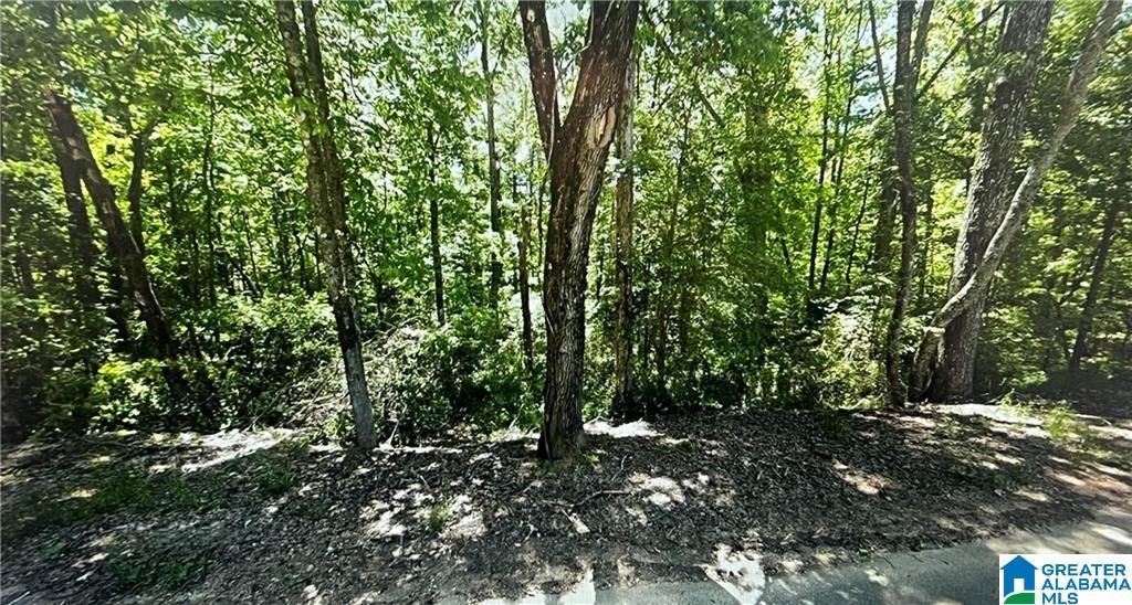 0 Kimberly Dr Unit 7, Lakeview, AL 35111