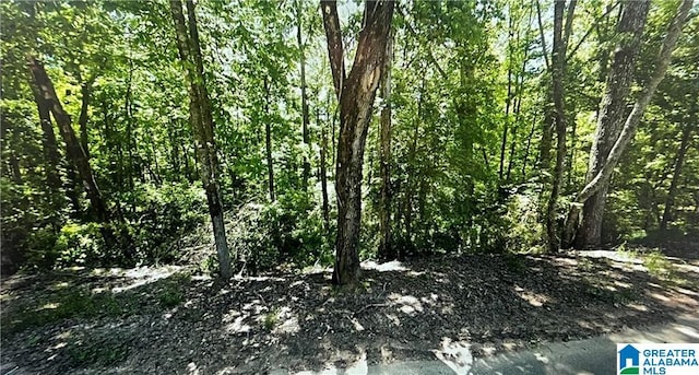0 Kimberly Dr Unit 7, Lakeview, AL 35111