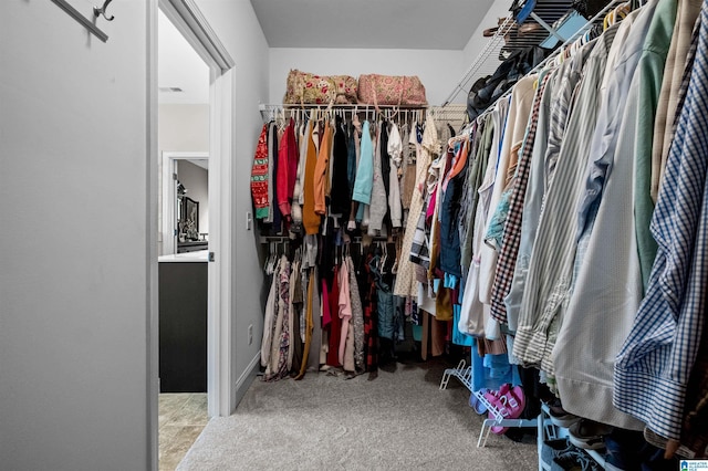 300 Braddock Rd W, Springville, AL 35146 - walk in closet featuring carpet