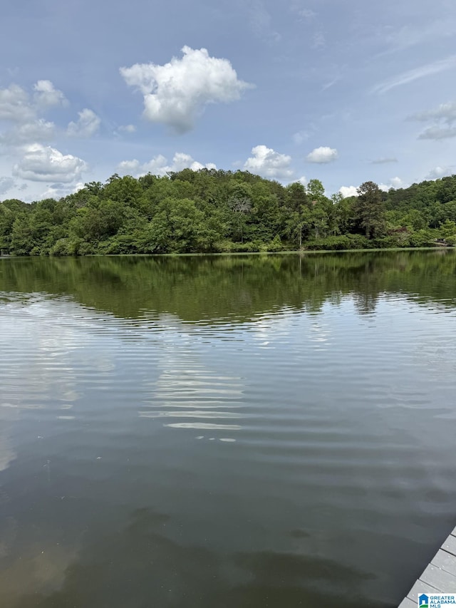 LOT4 Lakeshore Cir Unit 4, Warrior, AL 35180