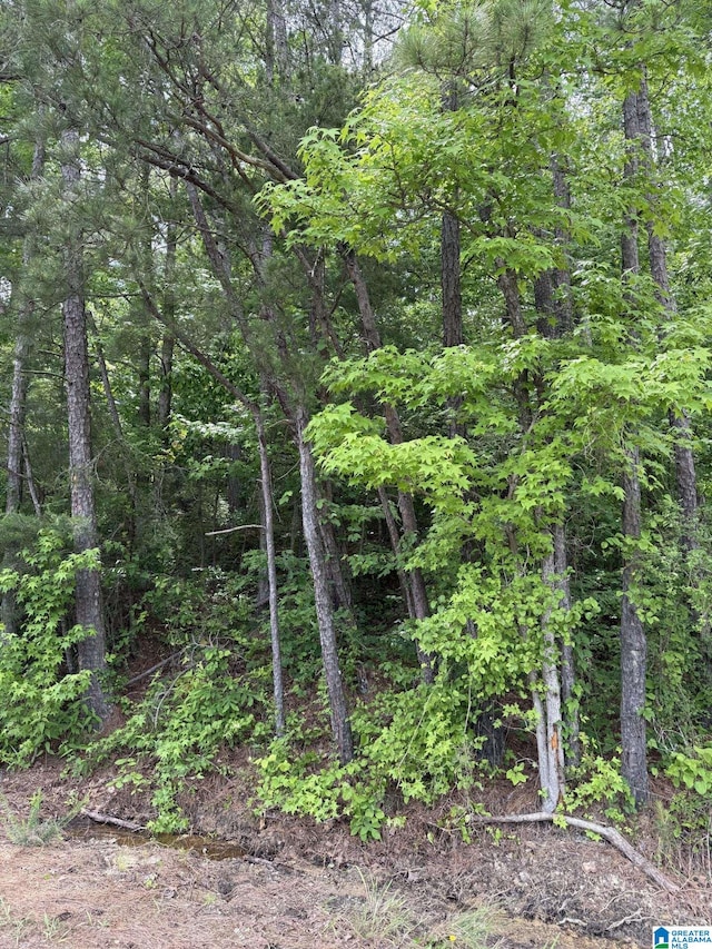 LOT4 Lakeshore Cir Unit 4, Warrior, AL 35180